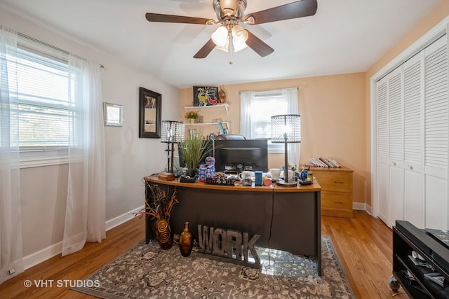 office with ceiling fan and light hardwood / wood-style flooring