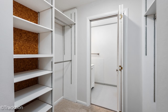 spacious closet with light carpet