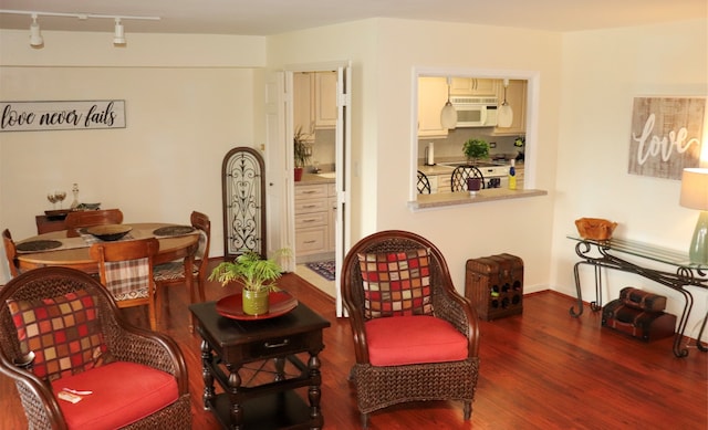 living area featuring rail lighting and dark wood-type flooring