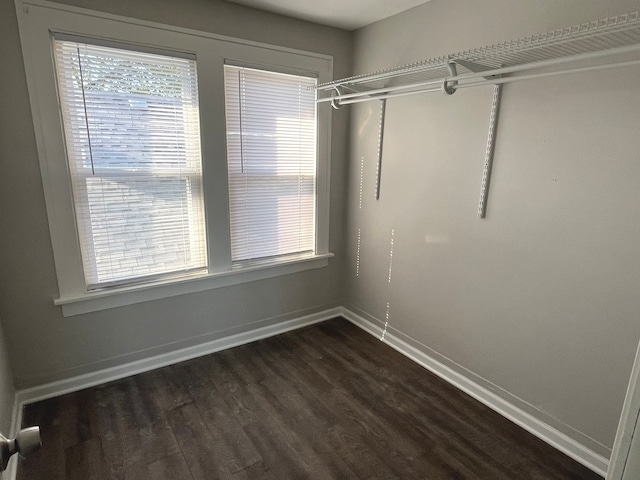 spacious closet with dark hardwood / wood-style floors