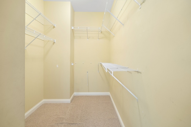 walk in closet with carpet floors