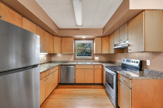 kitchen featuring appliances with stainless steel finishes, sink, and light hardwood / wood-style flooring