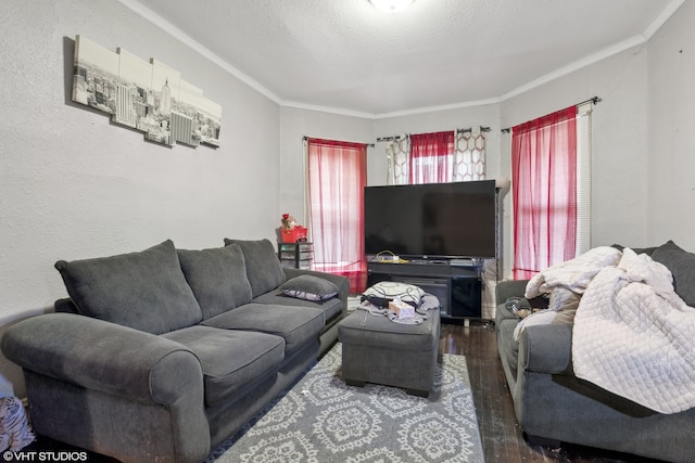 living room with a textured ceiling, dark hardwood / wood-style floors, and crown molding