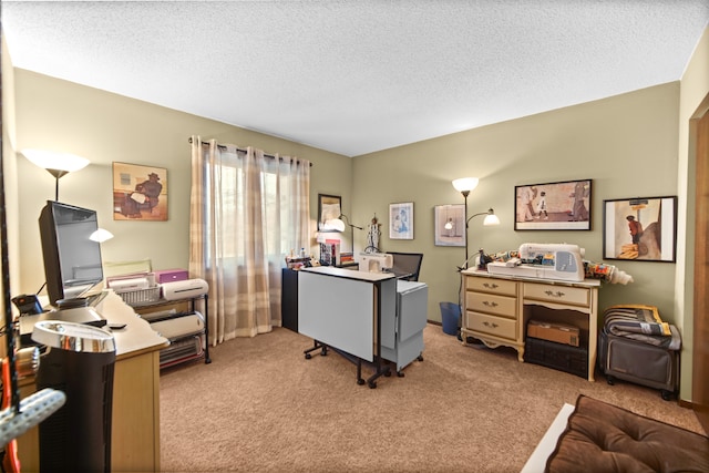 office space featuring a textured ceiling and light colored carpet