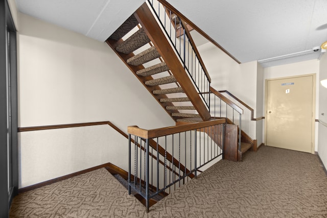 staircase with carpet flooring