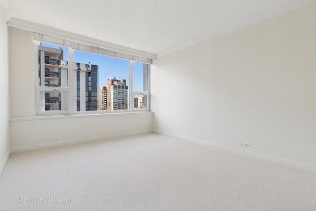 spare room with ornamental molding and carpet floors