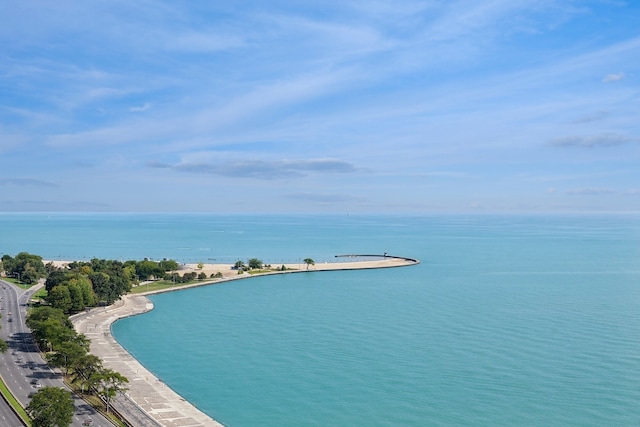 view of water feature with a beach view