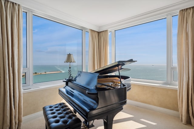 miscellaneous room with light colored carpet, plenty of natural light, a water view, and ornamental molding