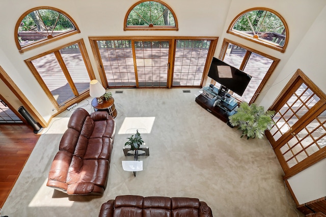 living room with hardwood / wood-style floors, a healthy amount of sunlight, and a towering ceiling