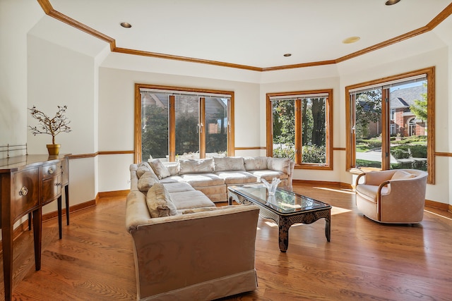 living room featuring hardwood / wood-style floors and ornamental molding