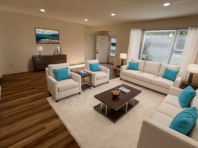 living room featuring hardwood / wood-style floors