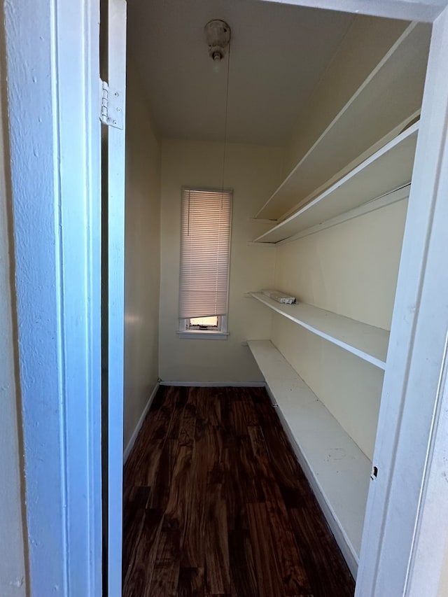 interior space with dark hardwood / wood-style floors