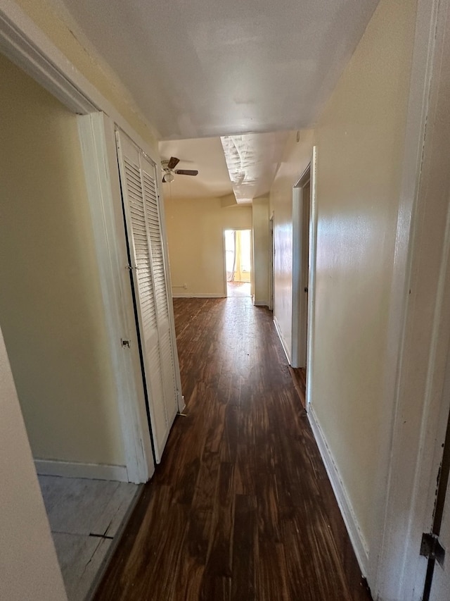 hall featuring dark wood-type flooring