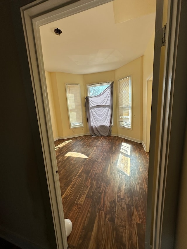 empty room with wood-type flooring