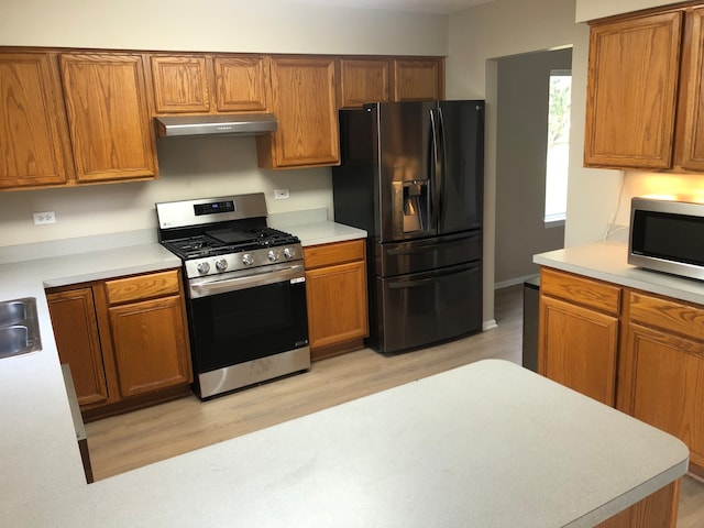 kitchen featuring sink, light hardwood / wood-style floors, and stainless steel appliances