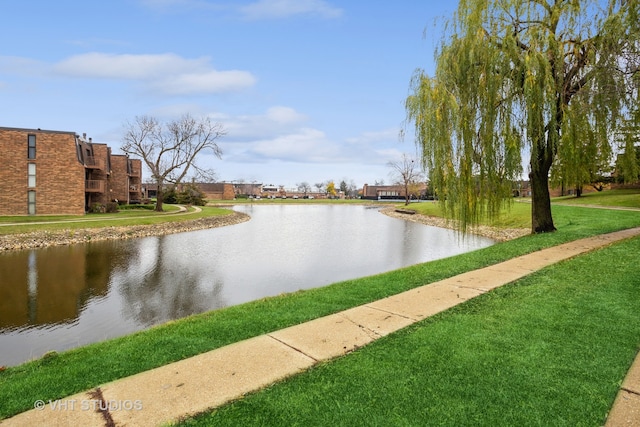 view of water feature