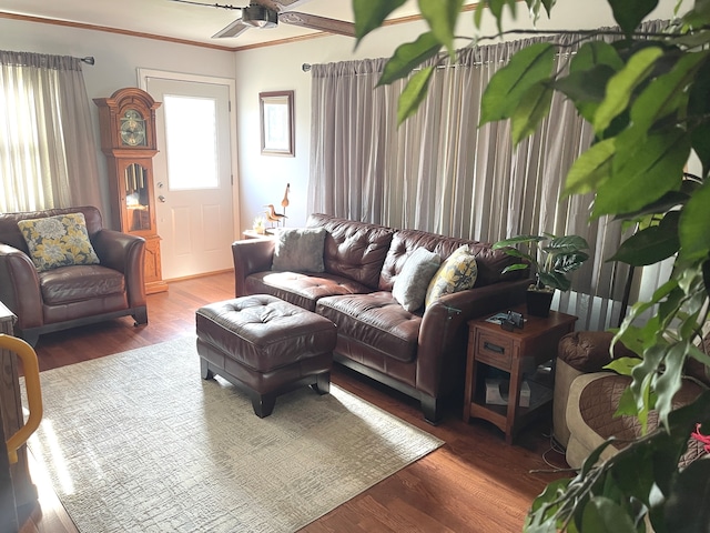 living room with ceiling fan, wood-type flooring, and crown molding