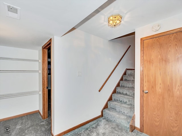 stairway with carpet floors