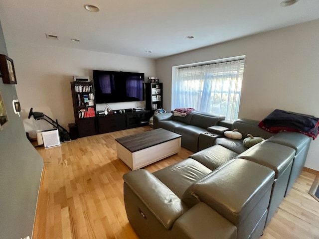 living room with hardwood / wood-style flooring