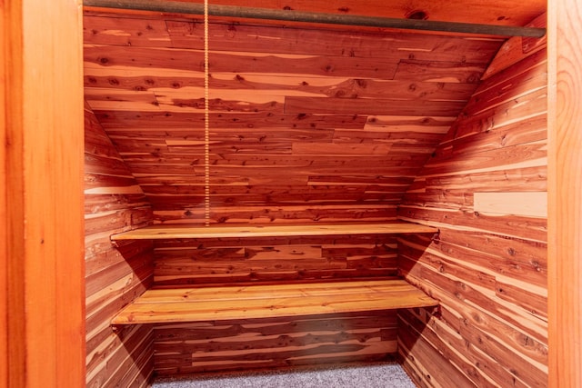 view of sauna featuring carpet flooring