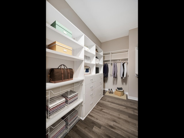 walk in closet with dark hardwood / wood-style flooring