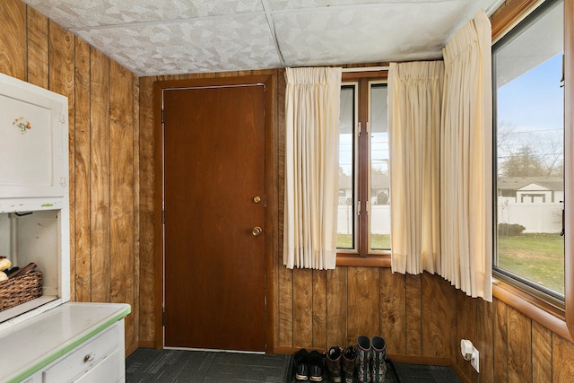 interior space featuring wooden walls and a wealth of natural light