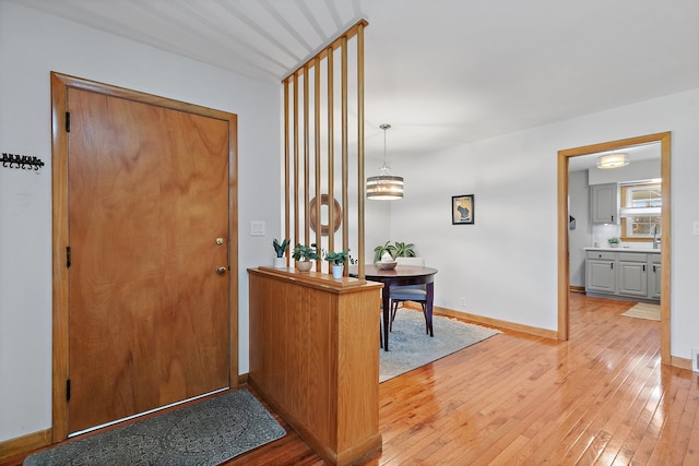 foyer with wood-type flooring