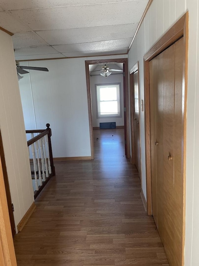 hallway with dark wood-type flooring and wooden walls