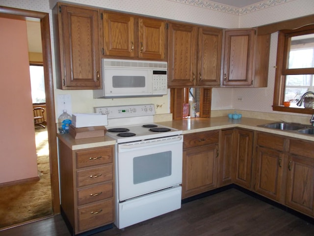 kitchen with sink, dark hardwood / wood-style floors, and white appliances