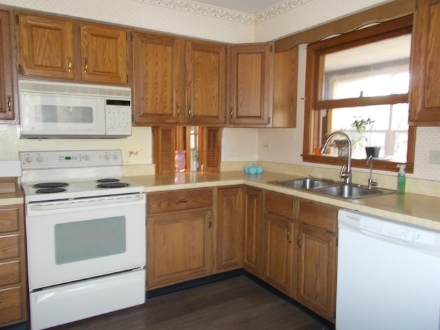 kitchen featuring dark hardwood / wood-style flooring, sink, and white appliances