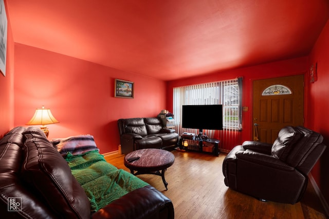 living room with wood-type flooring