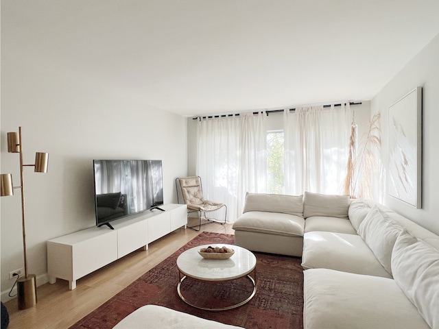 living room with hardwood / wood-style floors