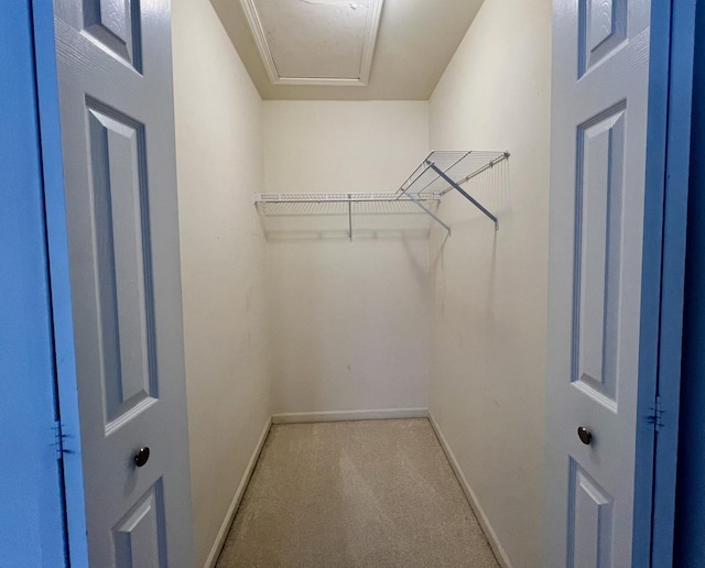 spacious closet featuring light colored carpet