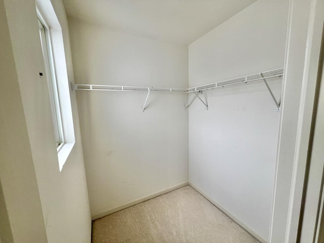 spacious closet with carpet