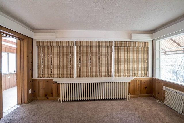 2206 W Lunt Ave, Chicago, IL 60645 - carpeted empty room featuring radiator heating unit, a textured ceiling, plenty of natural light, and wooden walls