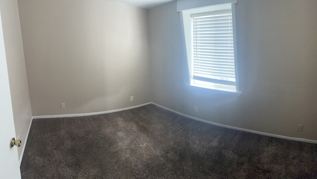 spare room with carpet floors