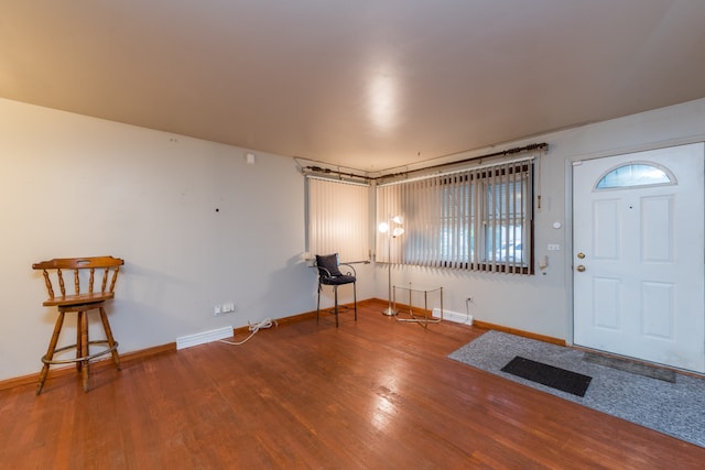 entryway featuring hardwood / wood-style flooring