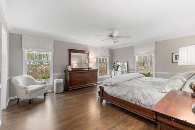 bedroom with ceiling fan, crown molding, dark wood-type flooring, and multiple windows