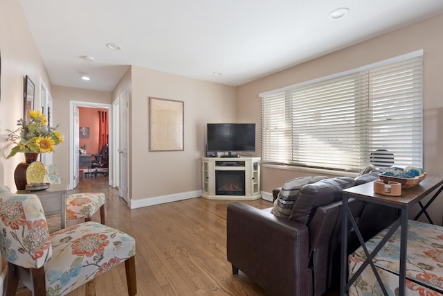 living room with light hardwood / wood-style floors