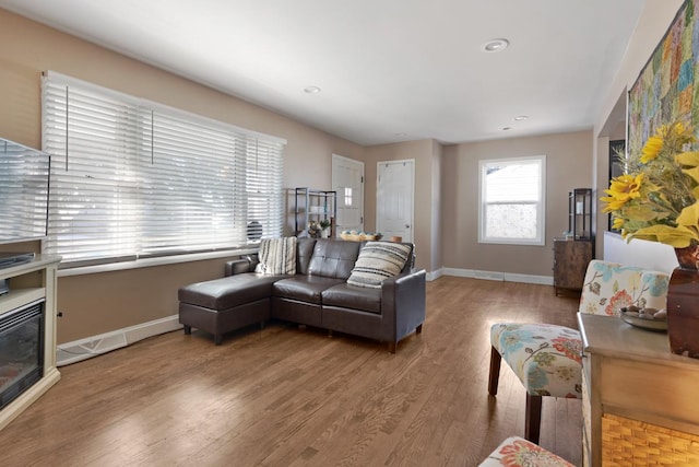 living room with hardwood / wood-style flooring