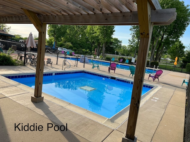 view of swimming pool with a patio