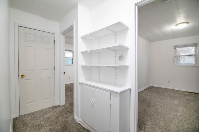 hall featuring carpet flooring and crown molding