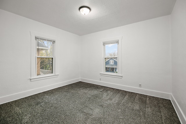 spare room featuring carpet flooring and a textured ceiling