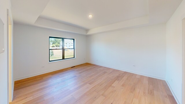 spare room featuring light wood-type flooring and a raised ceiling