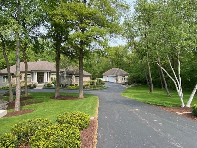 ranch-style house featuring a front yard