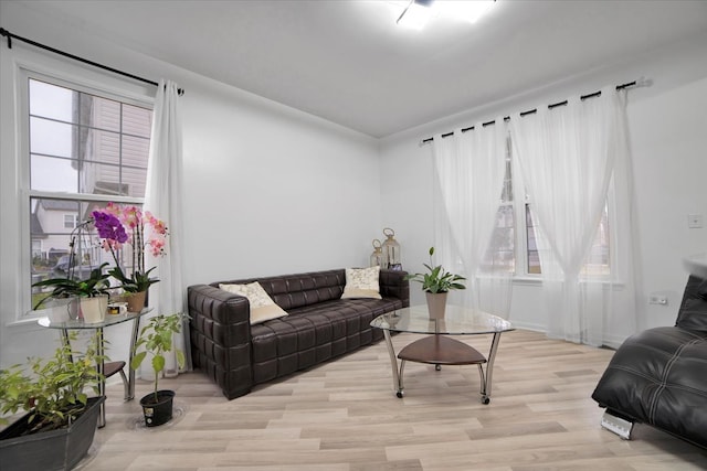 living room featuring light hardwood / wood-style floors