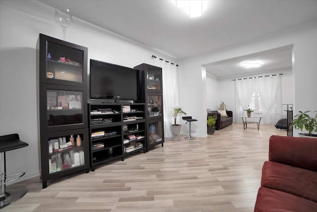 living room with light hardwood / wood-style flooring