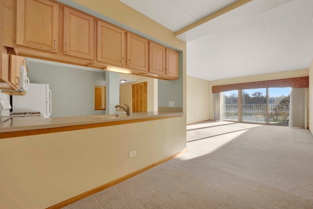 kitchen featuring light brown cabinetry and light colored carpet