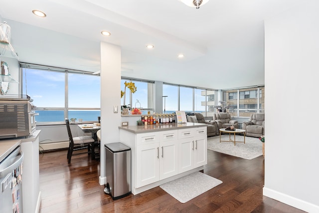 kitchen with white cabinets, dark hardwood / wood-style flooring, a water view, and stainless steel dishwasher