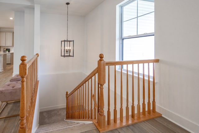 staircase with wood-type flooring and an inviting chandelier